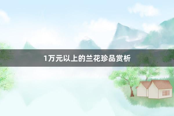 1万元以上的兰花珍品赏析