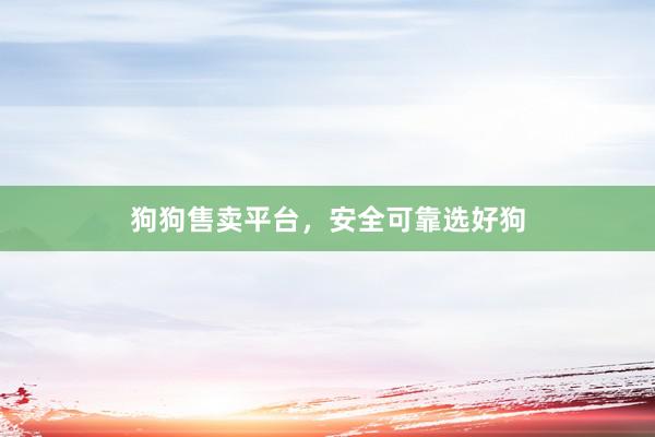 狗狗售卖平台，安全可靠选好狗