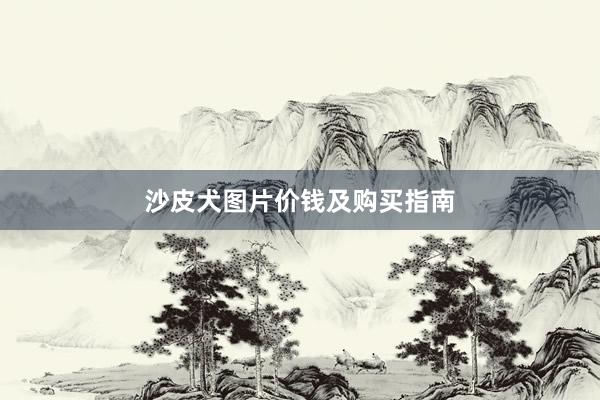 沙皮犬图片价钱及购买指南
